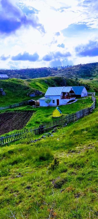 Weekend House In The Piva Nature Park プルジネ エクステリア 写真