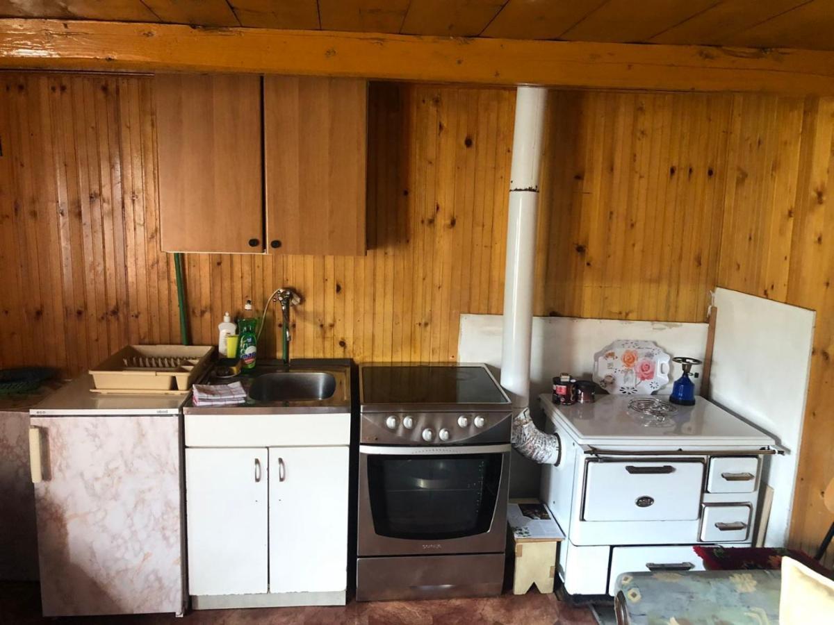Weekend House In The Piva Nature Park プルジネ エクステリア 写真