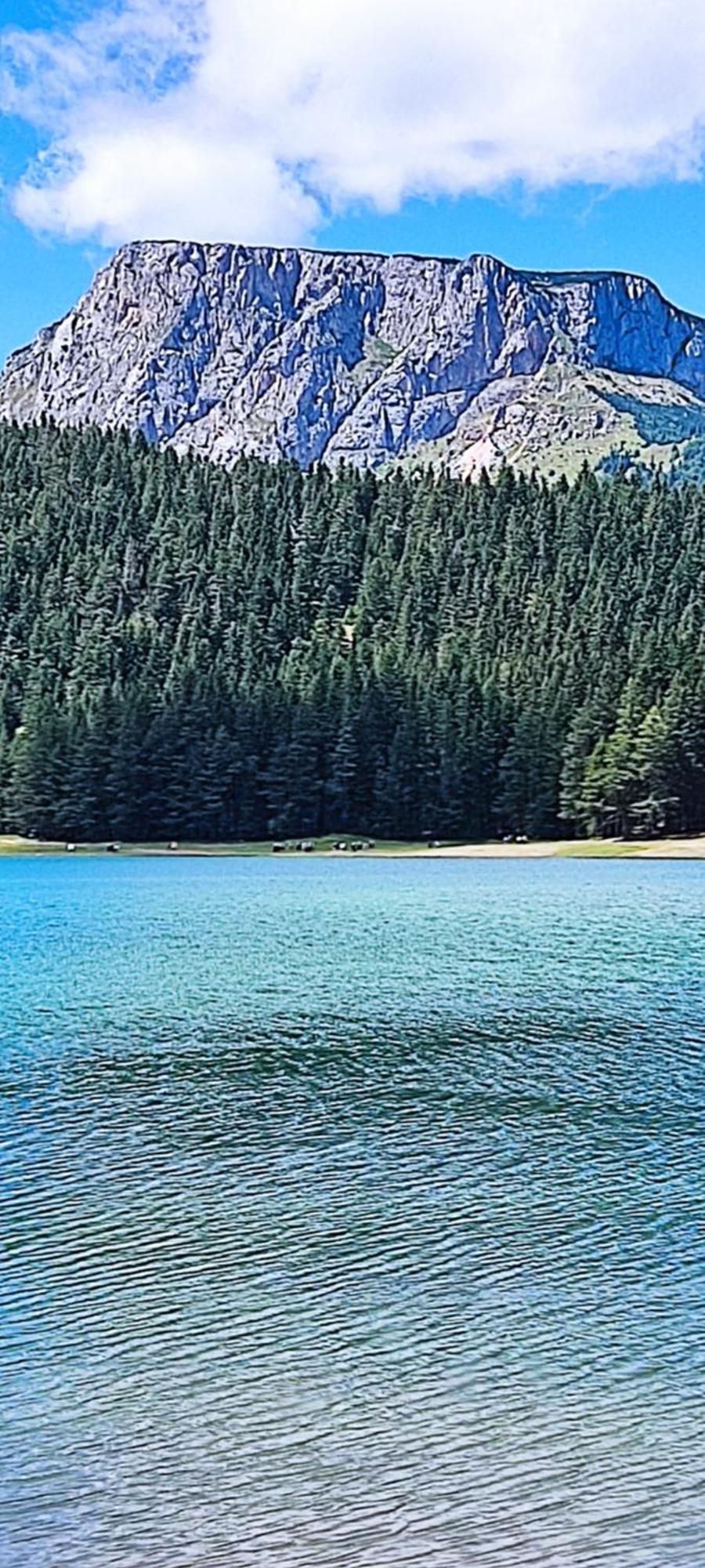 Weekend House In The Piva Nature Park プルジネ エクステリア 写真