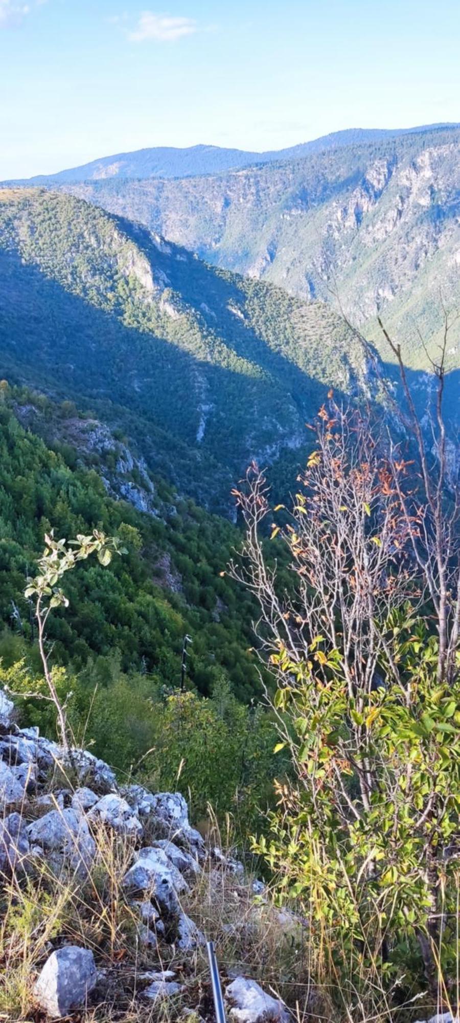Weekend House In The Piva Nature Park プルジネ エクステリア 写真
