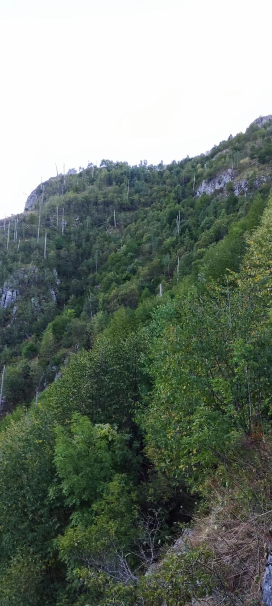 Weekend House In The Piva Nature Park プルジネ エクステリア 写真