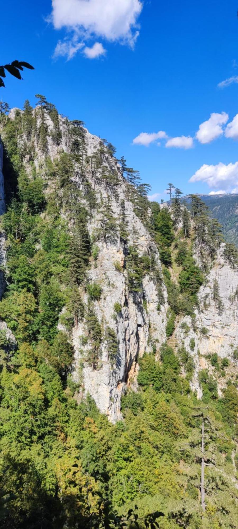 Weekend House In The Piva Nature Park プルジネ エクステリア 写真