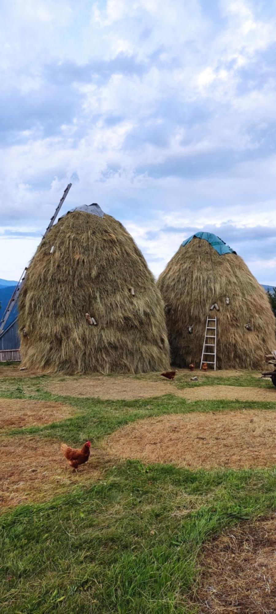 Weekend House In The Piva Nature Park プルジネ エクステリア 写真