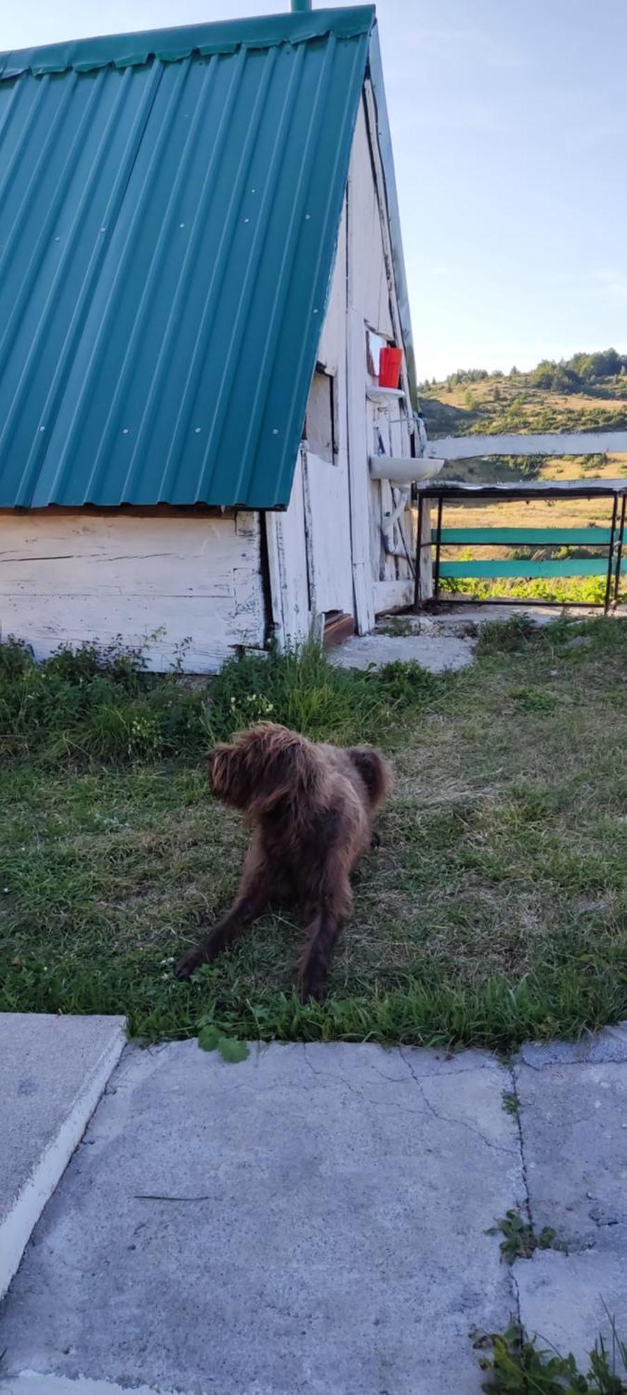 Weekend House In The Piva Nature Park プルジネ エクステリア 写真