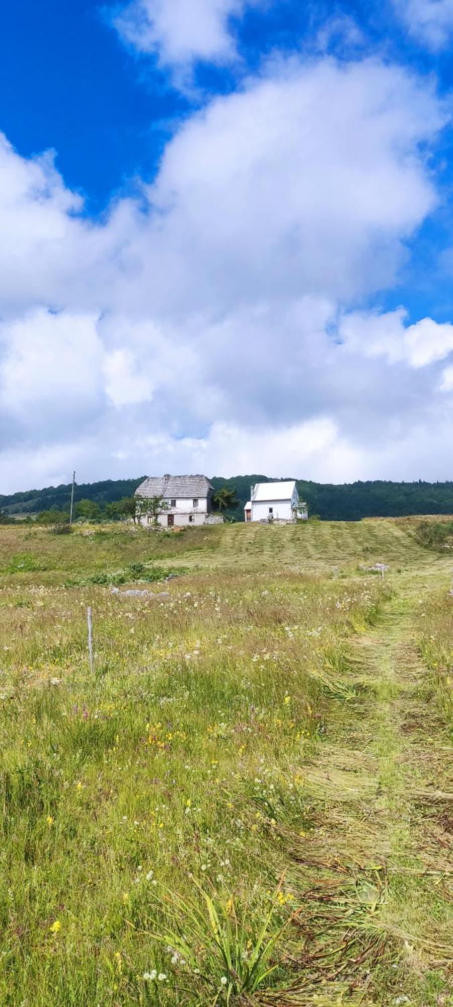 Weekend House In The Piva Nature Park プルジネ エクステリア 写真
