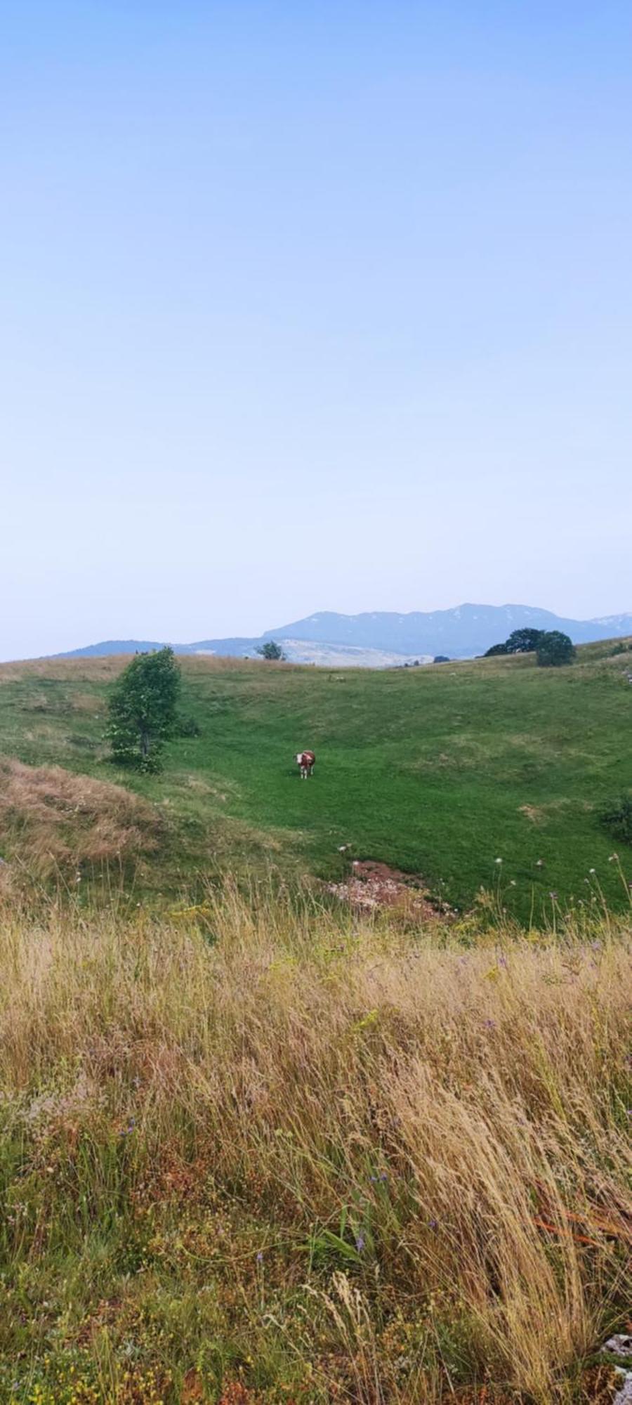 Weekend House In The Piva Nature Park プルジネ エクステリア 写真