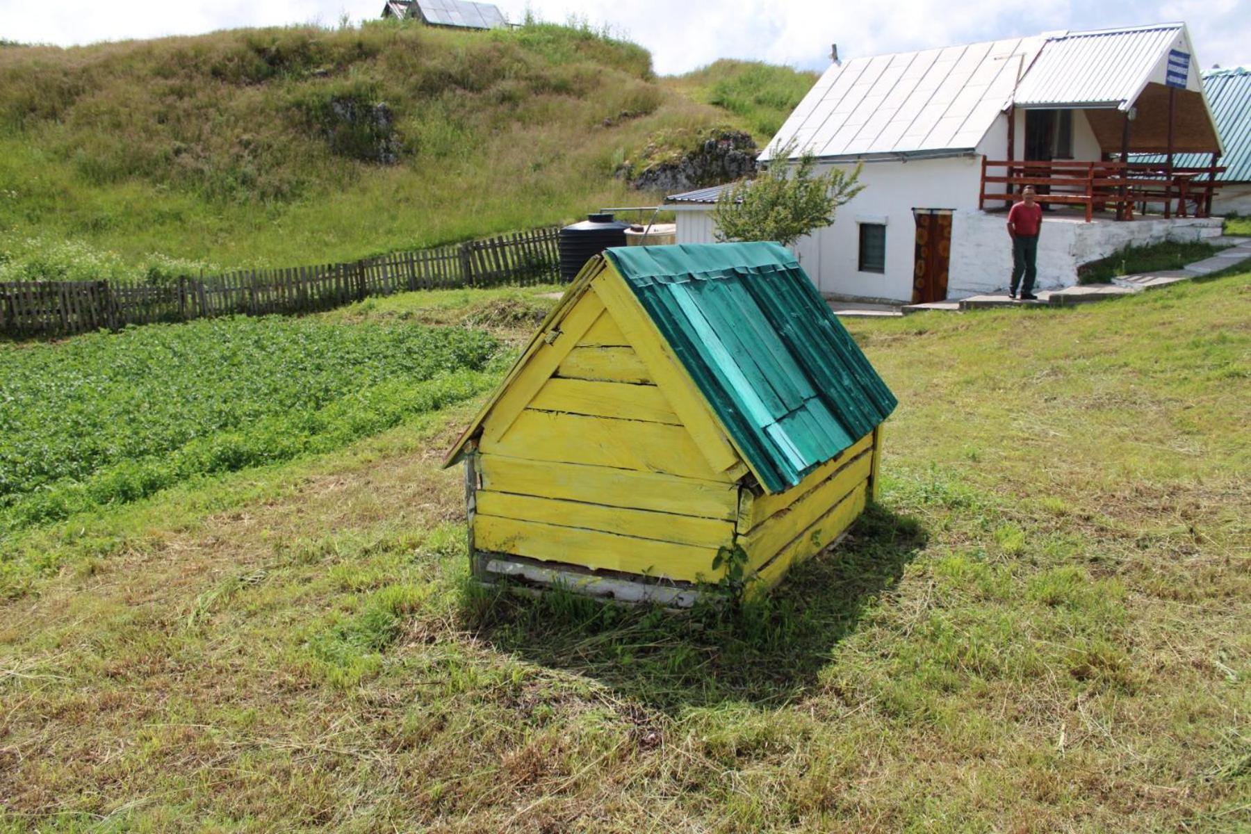 Weekend House In The Piva Nature Park プルジネ エクステリア 写真