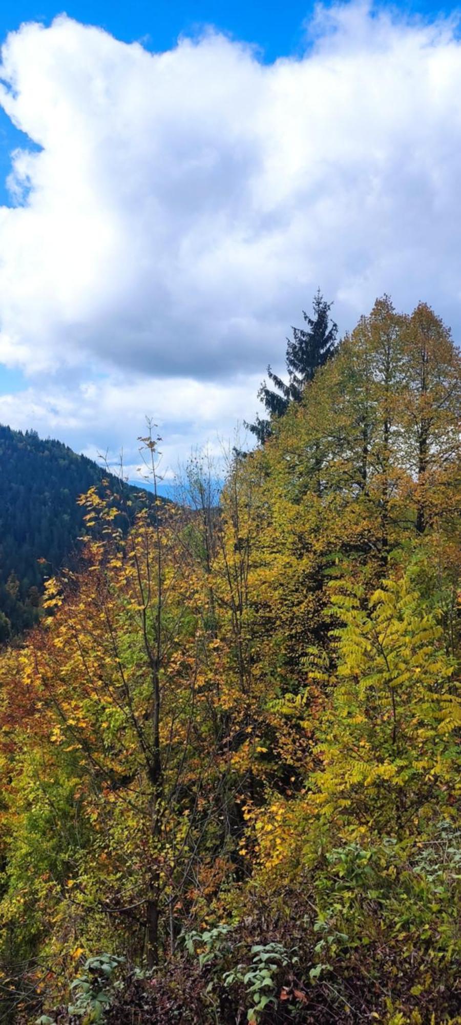 Weekend House In The Piva Nature Park プルジネ エクステリア 写真